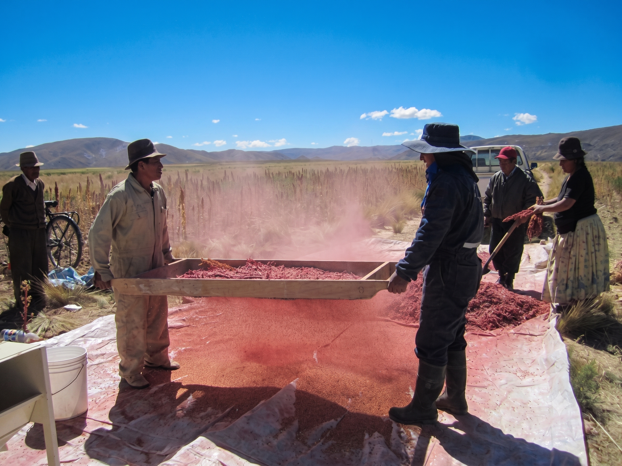 Secado artesanal de quinua en el Altiplano boliviano